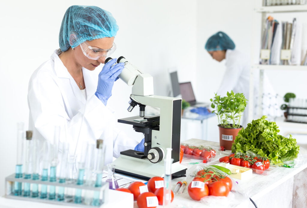 Seguridad Alimentaria / ISO 22000