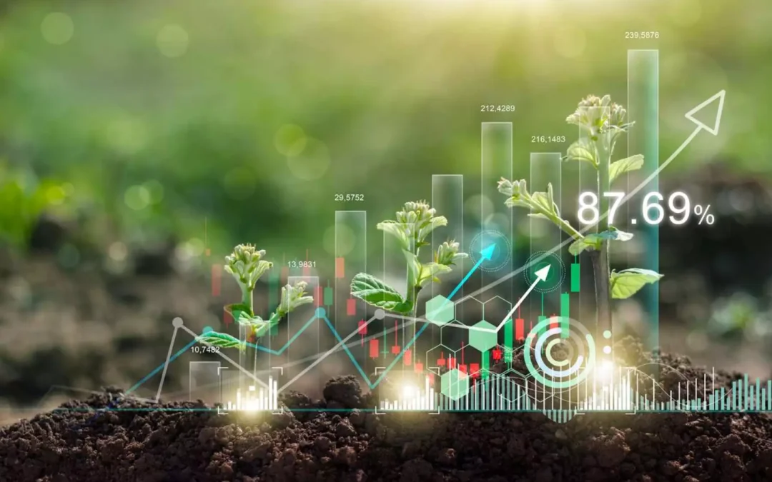 El Impacto Financiero de No Cumplir con la Enmienda de Cambio Climático en ISO 9001