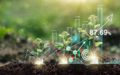 El Impacto Financiero de No Cumplir con la Enmienda de Cambio Climático en ISO 9001