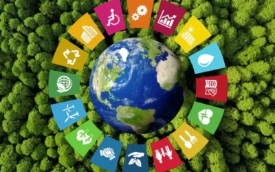 Cómo Integrar el Cambio Climático en la Implementación de un Sistema de Gestión ISO 9001