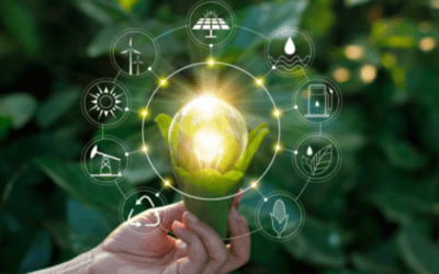 La sostenibilidad en Jalisco: Cómo las empresas adaptan sus sistemas al cambio climático de manera impactante