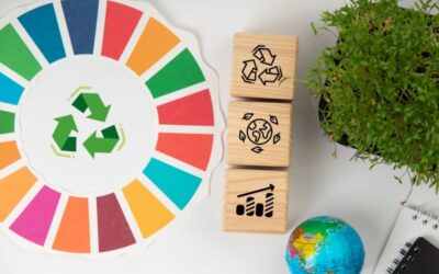 Actualización ISO 14001: el cambio que transformará la gestión ambiental en las empresas