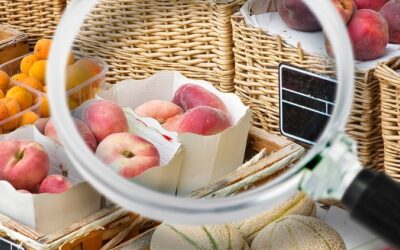 ISO 22000 en restaurantes: cómo proteger tu cocina de contaminantes ambientales